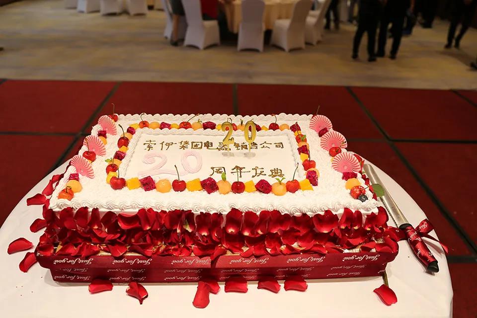 憶往昔崢嶸歲月 展未來(lái)催人奮進(jìn)——熱烈慶祝索伊電器銷售公司成立20周年